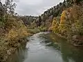 Auengebiet Clairbié am Doubs