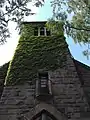 Der bewachsene Turm; deutlich sichtbar der Balkon