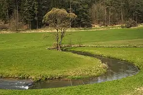 Das Aufseßtal zwischen Neuhaus und Aufseß