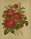 'Auguste Rigotard', 1871
