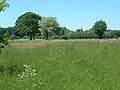 Typische Geestlandschaft in Aukrug