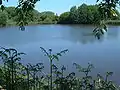 Teich in Aukrug-Innien