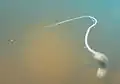 Nicht identifizierte Rattenschwanz-Larve aus Australien