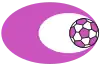 SV Austria Salzburg