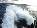 Die Heckwelle bei circa 70&nbsp;km/h