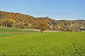 Blick auf Bürglischloss aus Dörflingen