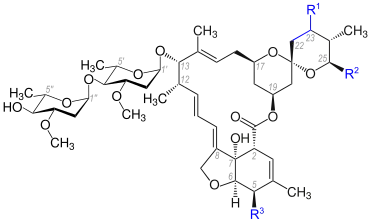 Grundstruktur der Avermectine
