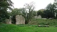 Motte