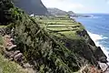 Ponta