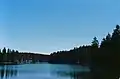Bärenbrucher Teich im Sommer