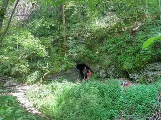 Der Eingang der Bärentalhöhle