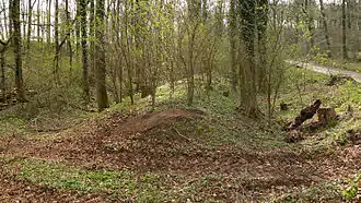 Bückethaler Landwehr