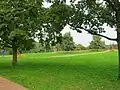 Spielwiese