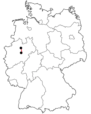 Verlauf der B 63