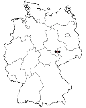 Verlauf der B 181