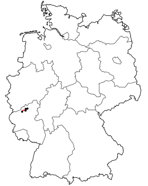 Verlauf der B 412