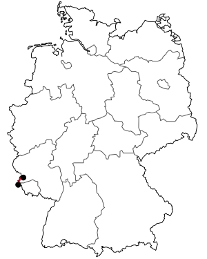 Verlauf der B 419