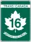 T16