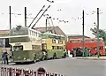 Trolleybusse aus Wolverhampton (vorn) und Derby, im Hintergrund ein BMMO D9 Dieselbus von Miland Red
