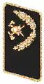 Brandinspekteur (BI)