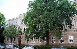Das BORG Linz an der Honauerstraße