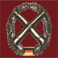 Barettabzeichen und Barettfarbe