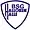 BSG Halloren Halle II