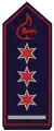 Stellv. Abteilungskommandant (als HLM)
