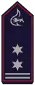 Stellv. Feuerwehrkommandant