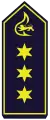 Branddirektor (A15)
