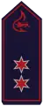 Oberlöschmeister