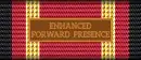 NATO Enhanced Forward Presence