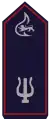 Kreisstabführer