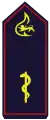 Landesfeuerwehrarzt