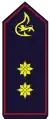 Mitglied im Landesfeuerwehrverbandsvorstand (Fachgebietsleiter des Landesfeuerwehrverbands
können alternativ die eingeführten
Fachberatersymbole in Gold führen)