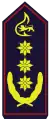 Präsident des Landesfeuerwehrverbandes