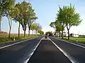 B 9 bei Alsheim