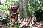 Wald und Referenzwohnlager der Aka-Pygmäen der Zentralafrikanischen Republik
