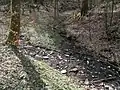 Unterer Zufluss mündet