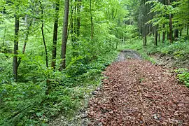 Der Wanderweg durch das NSG
