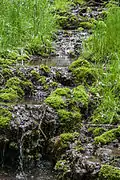 Bachlauf, versintert