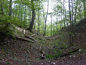 Bertaburg auf dem Kornberg