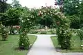 Bad Sauerbrunn Rosarium