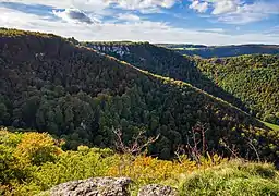 Landschaft der Uracher Alb: Blick vom Eppenzillfelsen (757&nbsp;m) auf die Talhänge der Uracher Talspinne mit typischen Kalkbuchen- und Hangschluchtwäldern