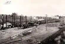 Bismarck-Huldigung der deutschen Studentenschaft am Bahnhof Friedrichsruh (1. April 1895)