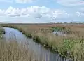 Blick auf Teil der Bucht von Audierne bei Tréogat