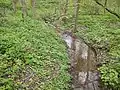 Der Ravelsbach in der Au vor Baierdorf