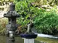 Bonsai im Wassergarten