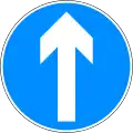 Vorgeschriebene Fahrtrichtung – geradeaus