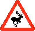 Wild